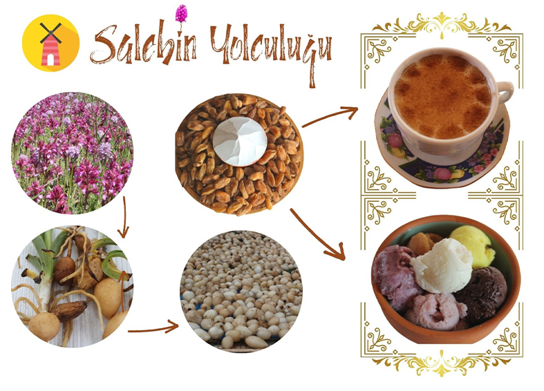 Organik Salep